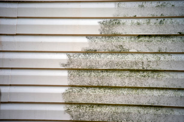 Best Aluminum Siding Installation  in Ashland, AL