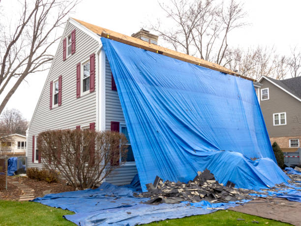 Best Wood Siding Installation  in Ashland, AL