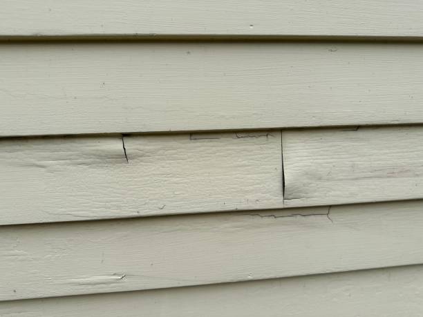 Best Storm Damage Siding Repair  in Ashland, AL